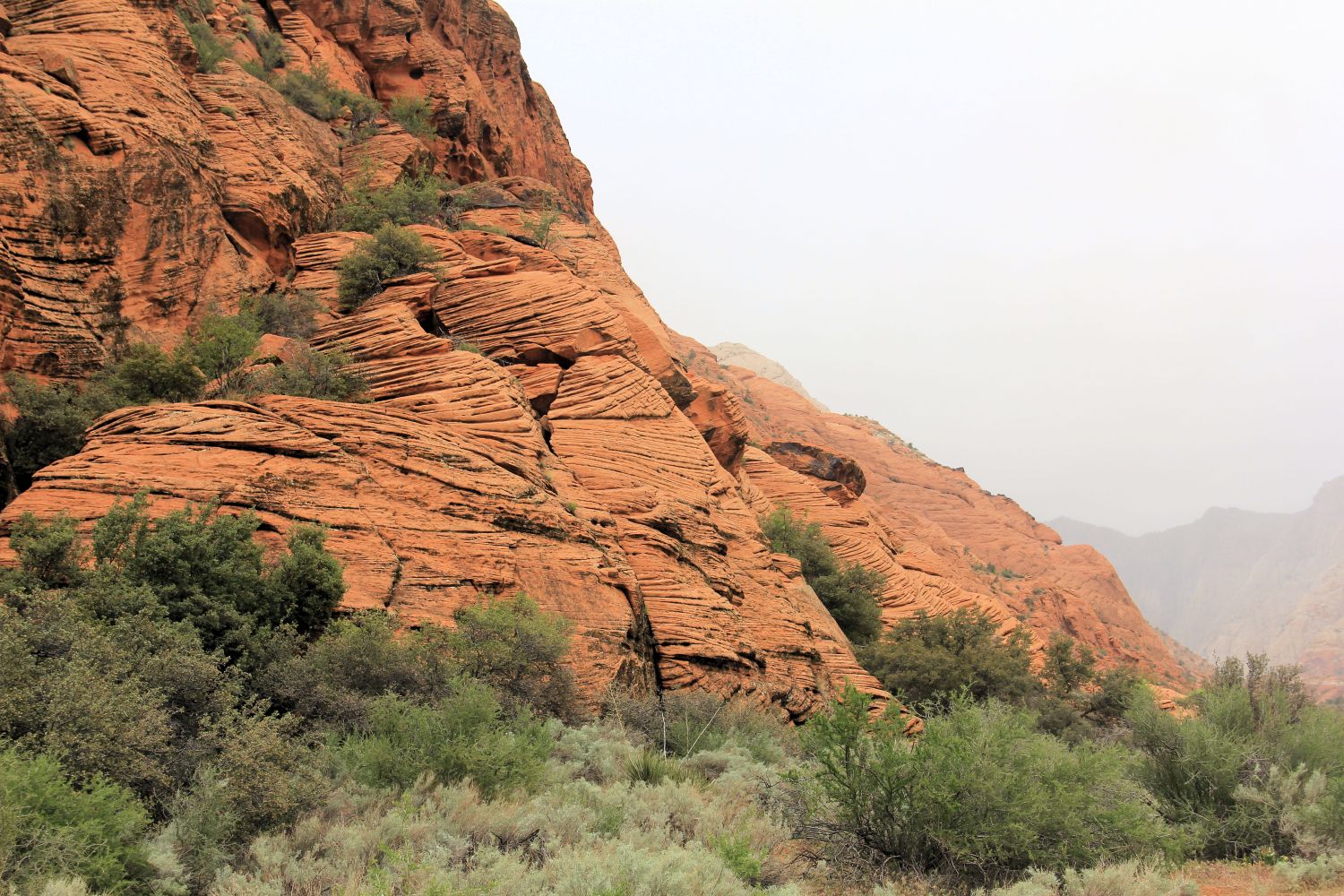 Snow Canyon State Park 